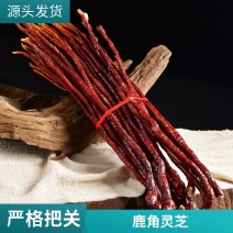 鹿角灵芝干货原产地直发煲汤用料散装量大价优