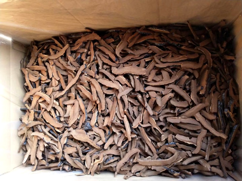 自然晾晒灵芝切片日常膳食食材多规格现货供应