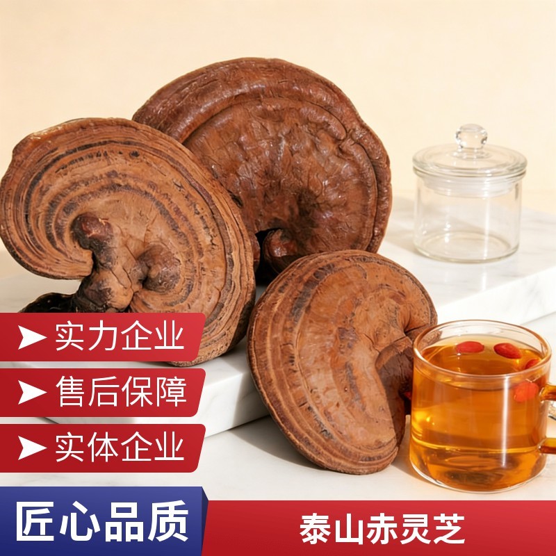 整朵赤灵芝干货散装批发规格可选头茬灵芝产地货源