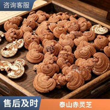 整朵赤灵芝干货散装批发规格可选头茬灵芝产地货源