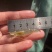 罗氏虾苗河虾虾苗，自家渔场提供需要的请联系我