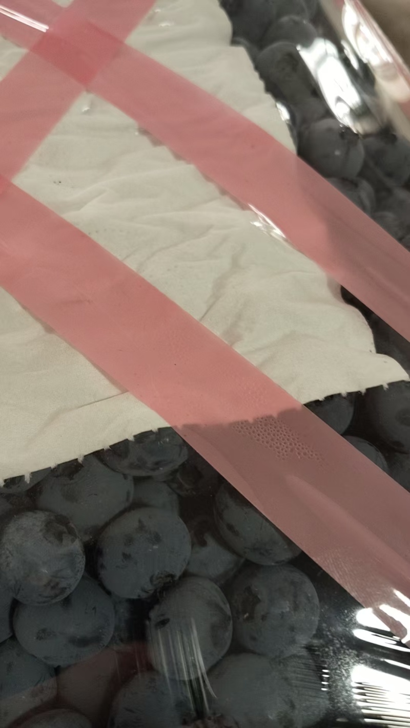 丹东北陆蓝莓冷棚货耐储存运输大小都有现场挑货满意装车接电商