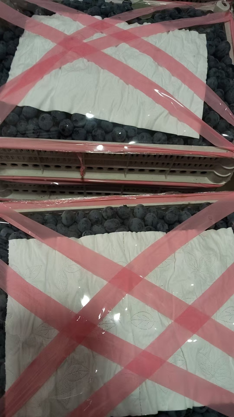 丹东北陆蓝莓冷棚货耐储存运输大小都有现场挑货满意装车接电商