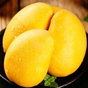 广西百色大台芒当季新鲜水果一件代发