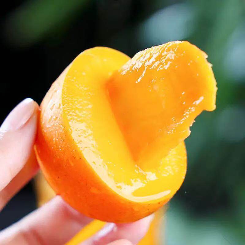 广西百色大台芒当季新鲜水果一件代发