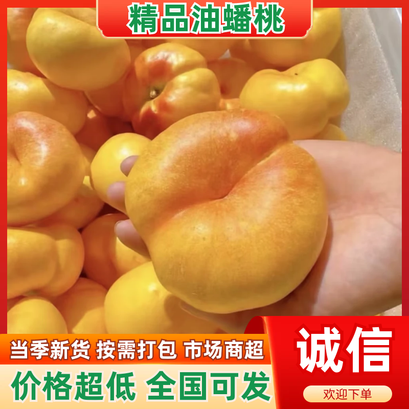 【热卖推荐】油蟠桃桃子产地直发量大从优可对接全国客商