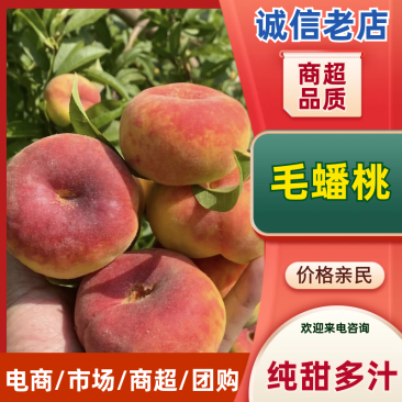 【精选】精品毛蟠桃桃子品类齐全汁多味美可视频看货对接等