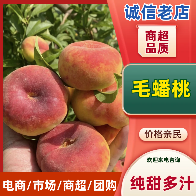 【精选】精品毛蟠桃桃子品类齐全汁多味美可视频看货对接等