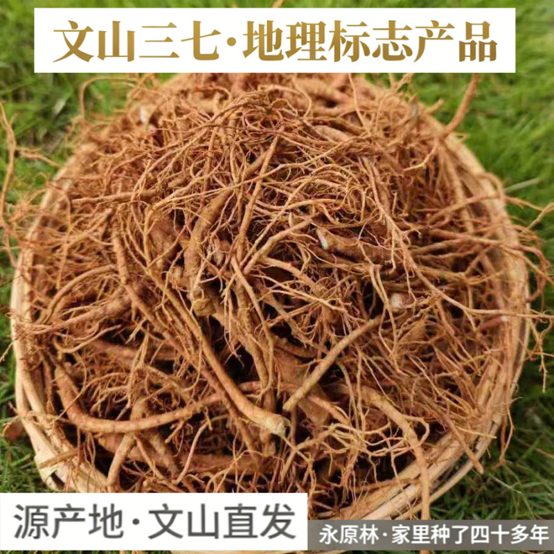 七米山新鲜三七根云南文山田七根根煲汤生三七根须带泥发货