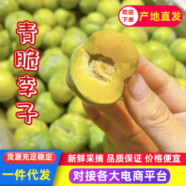 【一件可发】青脆李子脆甜可口量大从优可对接全国各地客商