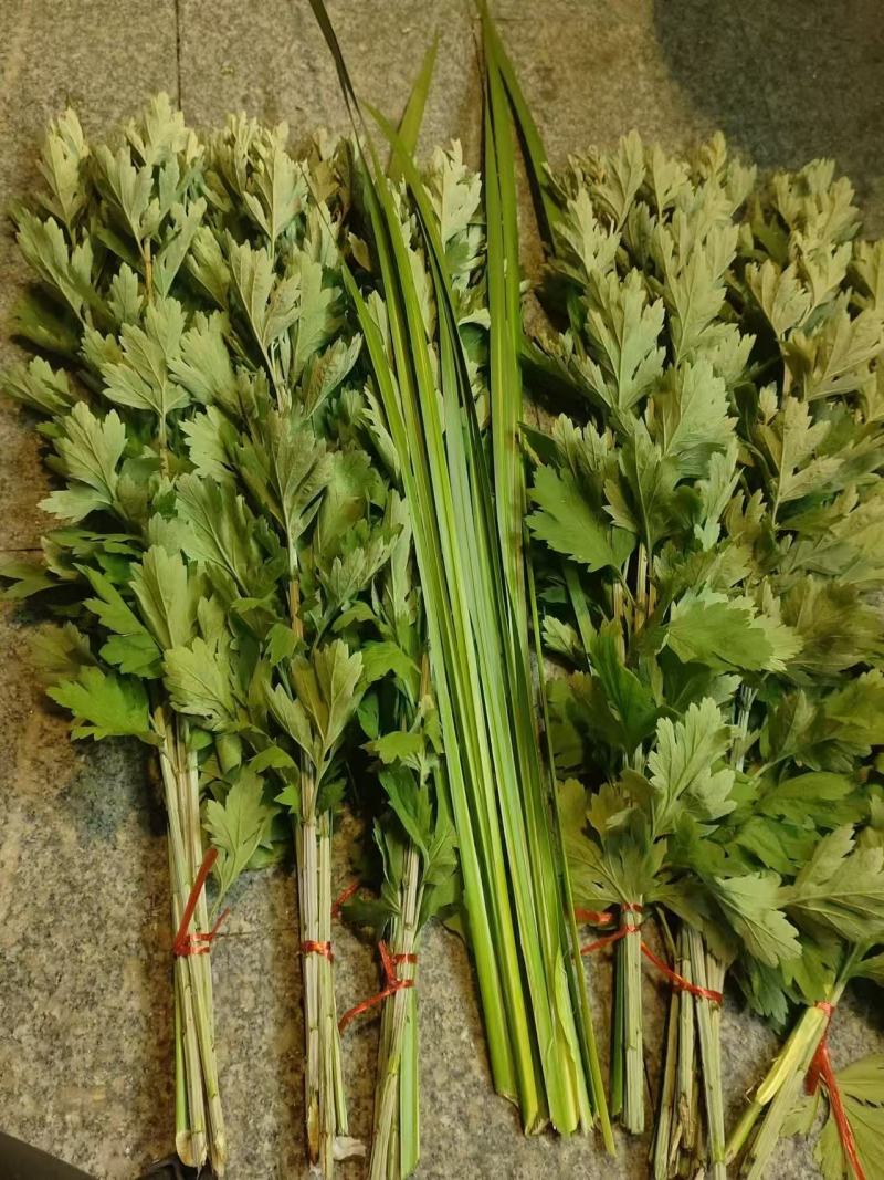 精品艾草安徽基地直供一手货源质量保证全国发货