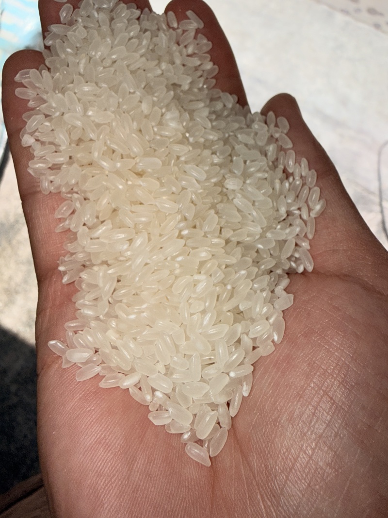 东北水晶18长粒香，大量现货，量大从优欢迎老板选购