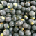 湖北宜城精选贝贝南瓜产地直供质量保证货源充足全国发货