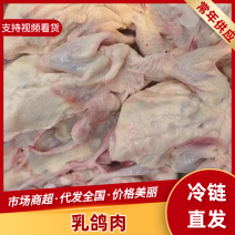 白条乳鸽乳鸽肉工厂发货保证质量对接餐饮批发商