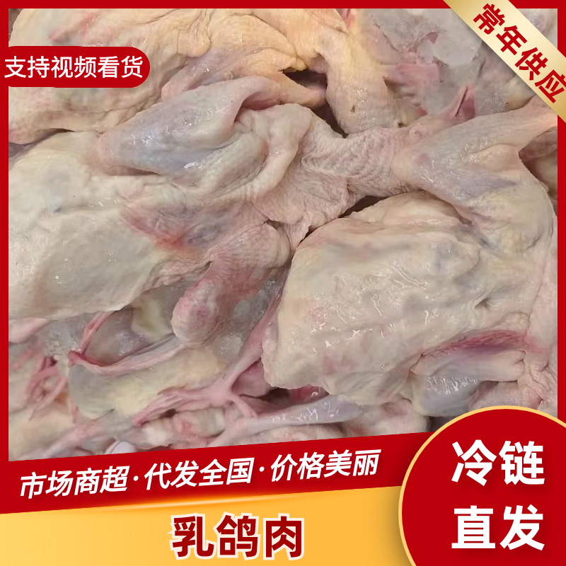 白条乳鸽乳鸽肉工厂发货保证质量对接餐饮批发商