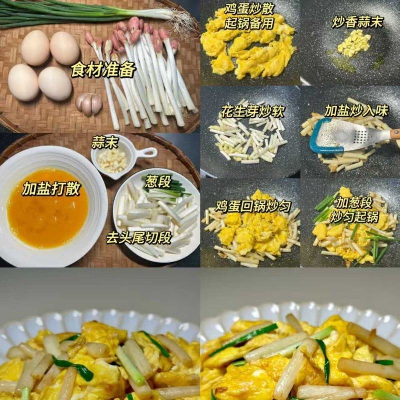 【精选】花生芽花生芽种植基地直供对接批发量大从优