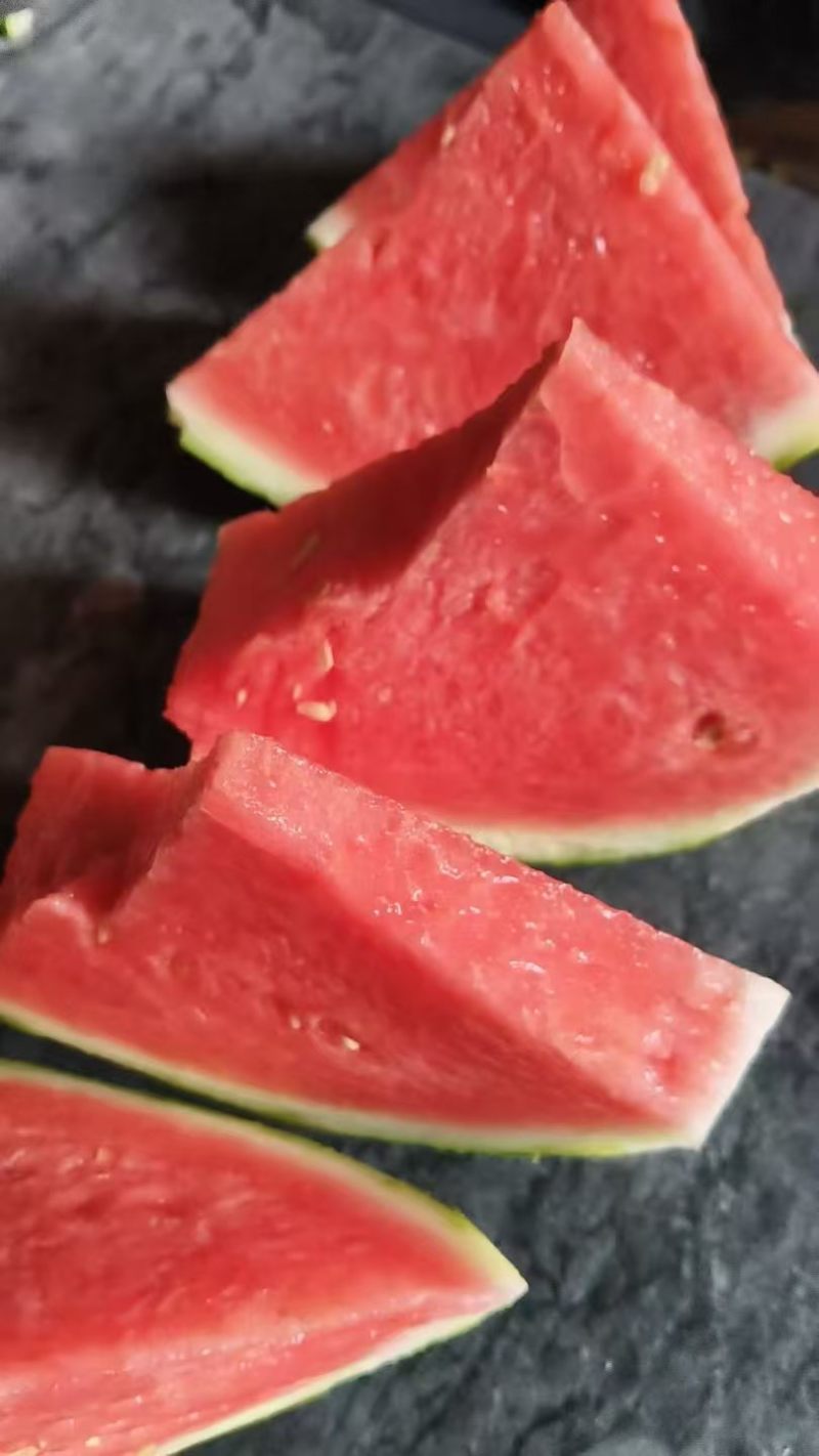 美都麒麟西瓜浙江老农户种植一千亩可视频看货