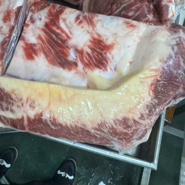 鲜牛肉大量上市现货现发可视频看货欢迎来电咨询
