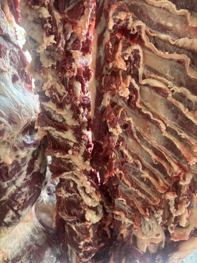 鲜牛肉大量上市现货现发可视频看货欢迎来电咨询