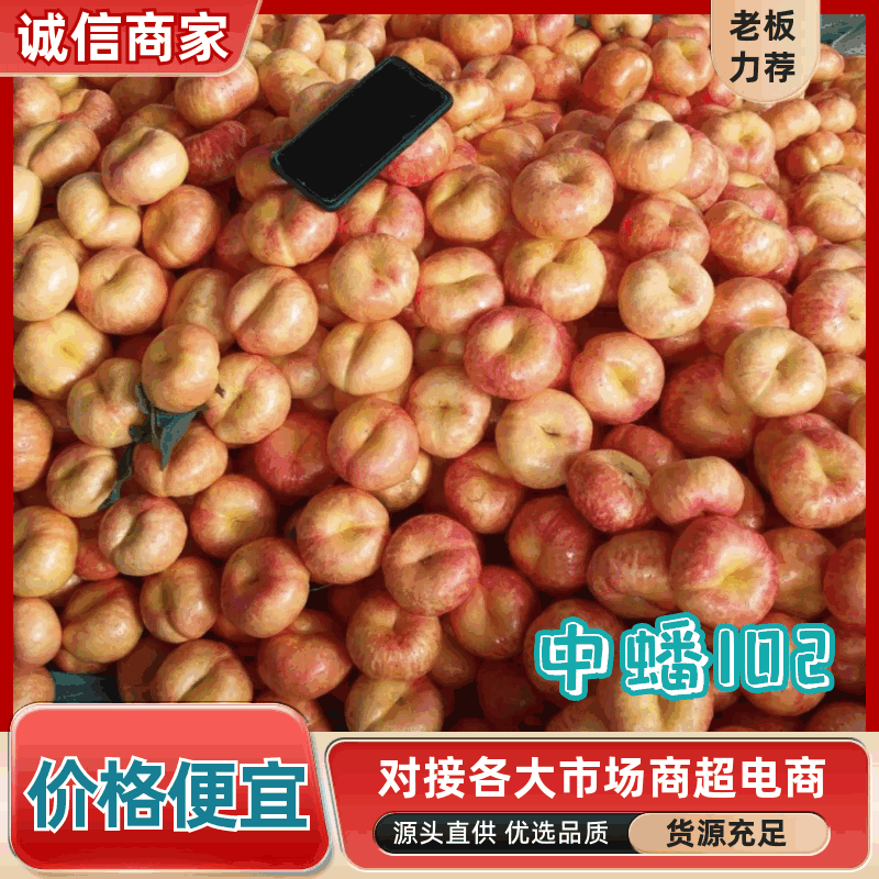 【热卖中】陕西蟠桃中蟠102即将上市自家果园欢迎预定