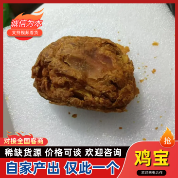 【精品】中药材鸡宝自家鸡子产出保质保量欢迎懂行老板