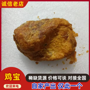 【中药材】云南中药材鸡宝药材仅此一个欢迎需要的老板来电