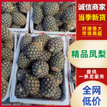 【精选】凤梨广东揭阳凤梨无眼菠萝品质保证量大优惠