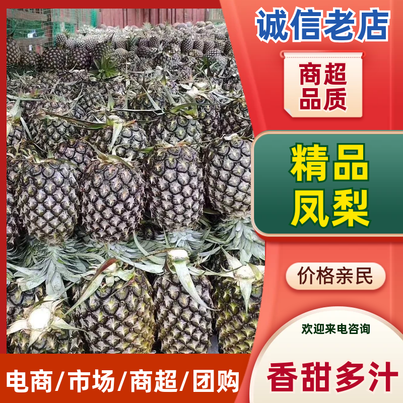 【推荐】广东凤梨精品菠萝产地直供保质保量量大优惠