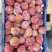 雪花李精品李子产地直发量大从优可对接全国电商市场等