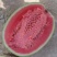 山西精品西瓜金城5号西瓜（双红金五），产地直供