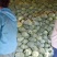 山西奥奇娜甘蓝扁包菜大头菜预售产地直供量大从优