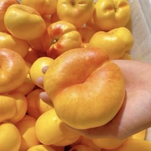蟠桃🍑毛蟠桃油蟠桃产地直发量大从优可对接全国客商可视频看
