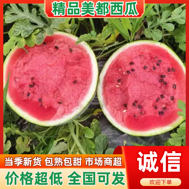 河南周口精品8424西瓜保熟包甜价格优惠货源充足发市场