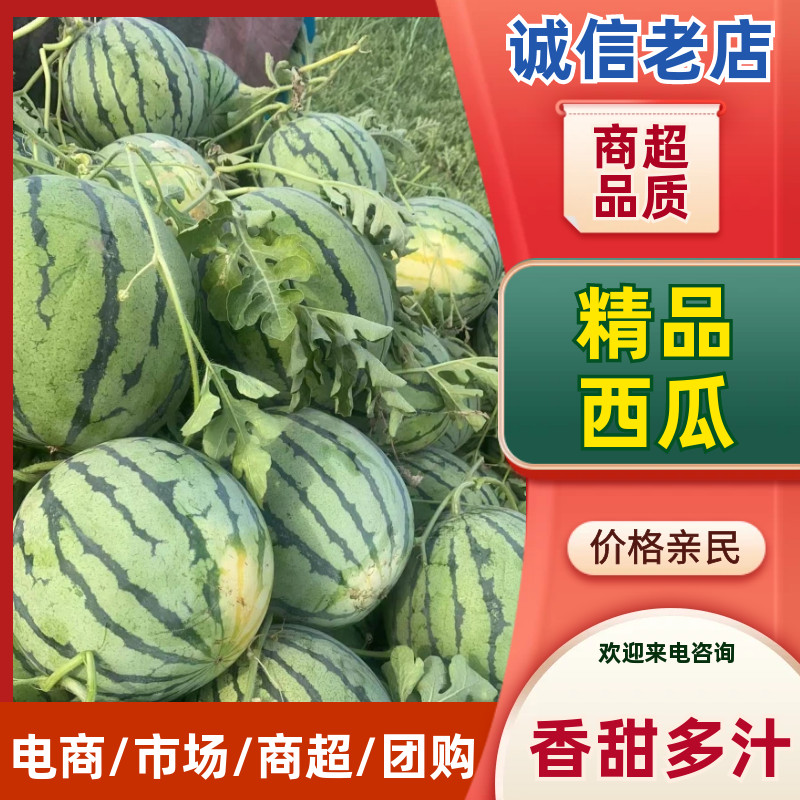 河南周口精品8424西瓜保熟包甜价格优惠货源充足发市场