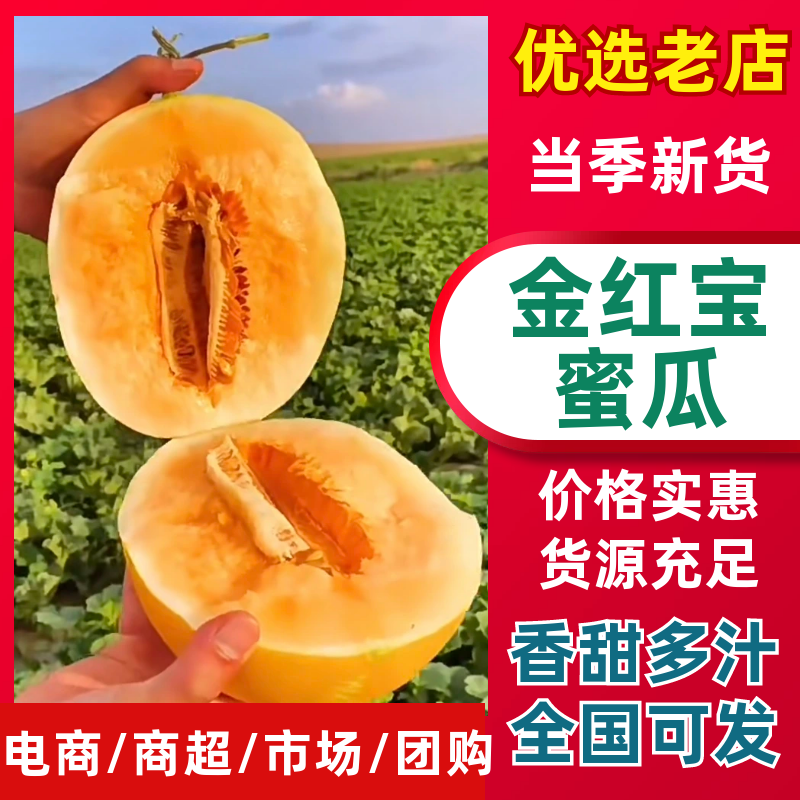 「金红宝蜜瓜」产地货源/全国供应/市场档口/口感脆甜多汁