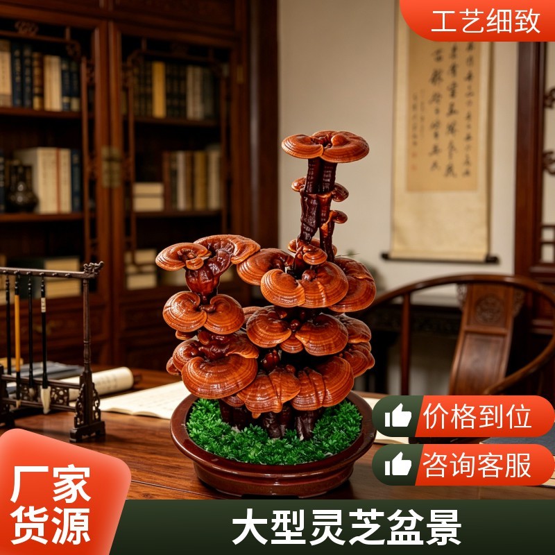 紫砂盆灵芝观赏盆景盆景灵芝客厅摆件礼品现货批发