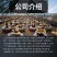 紫砂盆灵芝观赏盆景盆景灵芝客厅摆件礼品现货批发