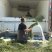 安徽宿州精品长豆角青条豆角大量上市打冷水洗协助上车