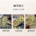 茉莉花新货茉莉花干大货批发零售假一赔十颜色好干净无杂