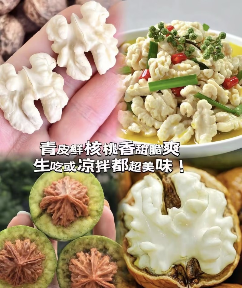【实力推荐】青皮核桃凉山深山产地自然种植一条龙服务