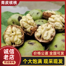 【实力推荐】青皮核桃凉山深山产地自然种植一条龙服务