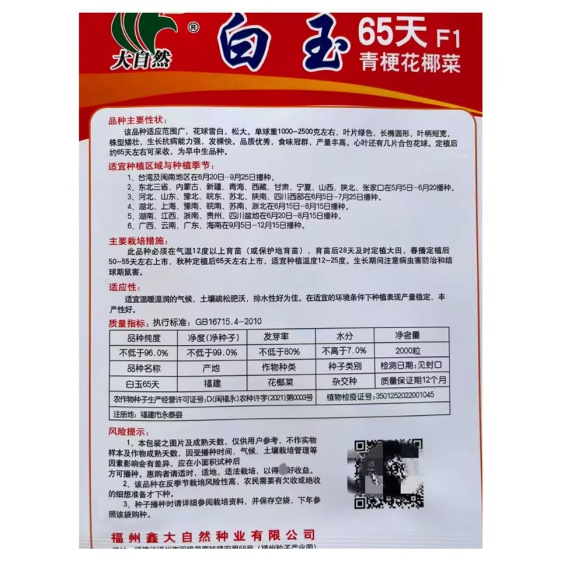 白玉65天80天108天青梗松花菜种子抗热花椰菜松花菜种