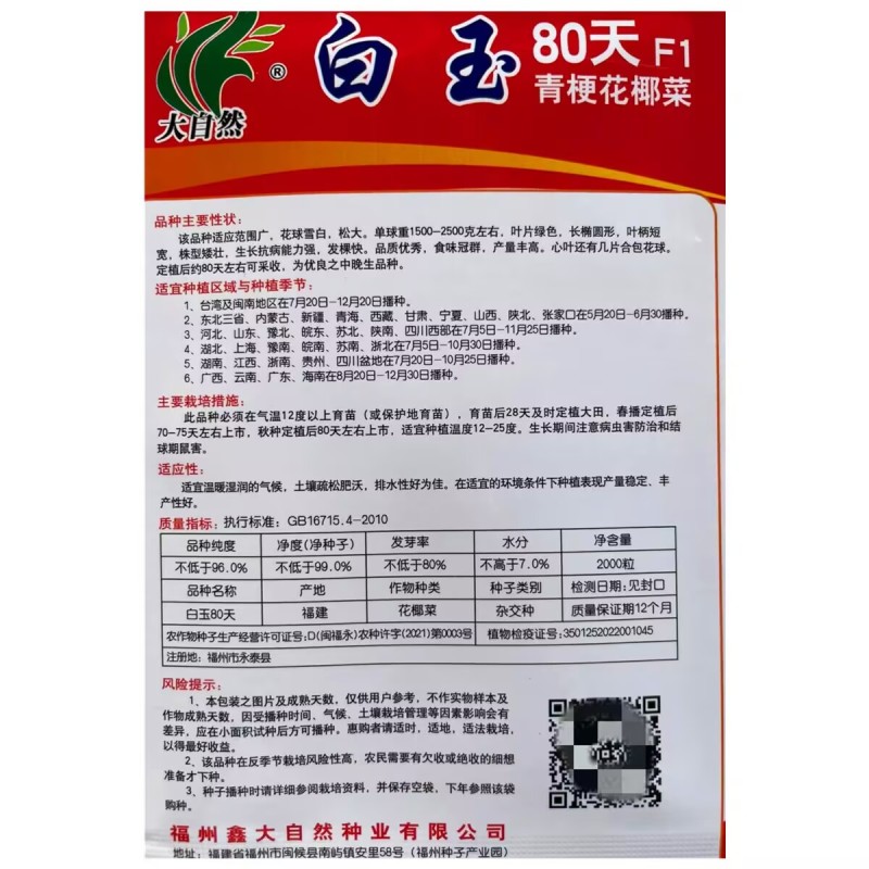 白玉65天80天108天青梗松花菜种子抗热花椰菜松花菜种