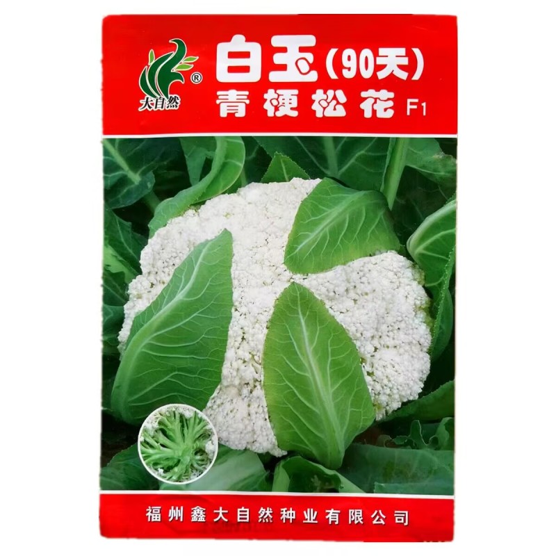 白玉65天80天108天青梗松花菜种子抗热花椰菜松花菜种