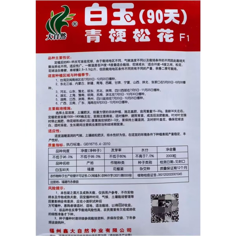 白玉65天80天108天青梗松花菜种子抗热花椰菜松花菜种