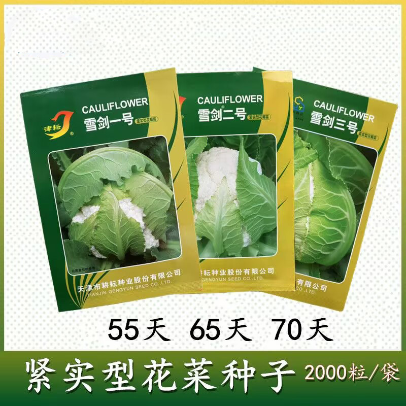 雪剑一号二号三号紧实型花椰菜种子抗热实花白花菜种子