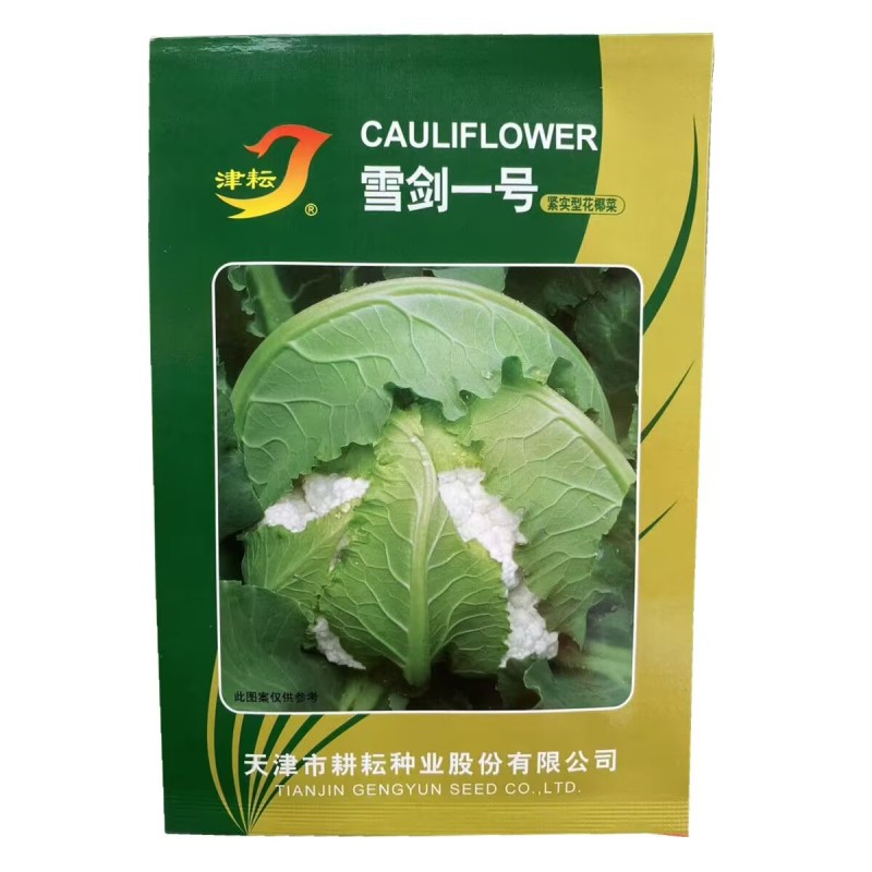 雪剑一号二号三号紧实型花椰菜种子抗热实花白花菜种子
