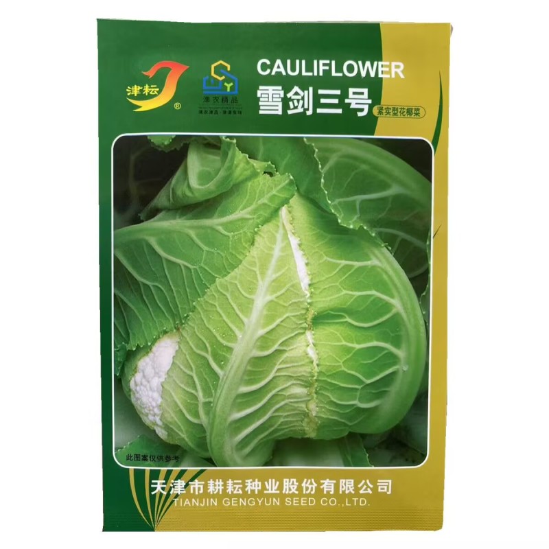 雪剑一号二号三号紧实型花椰菜种子抗热实花白花菜种子