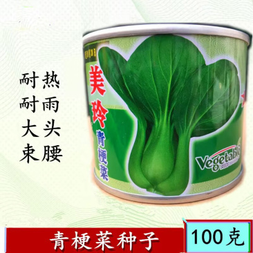 美玲青梗菜种子100g罐装杂交上海青油菜种子耐热大头束腰