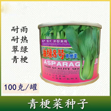 油绿8号青梗菜种子100克罐翠绿耐热上海青耐雨水油菜种子